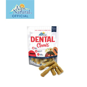 Alps Alps Natural Dental Chews Fruity Series Pumpkin Bristle 150g 150g  正面圖
