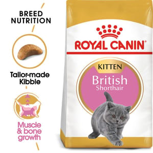 ROYAL CANIN CAT 2KG BRITISH SHORT HAIR KITTEN Cat Dry Food ROYAL CANIN