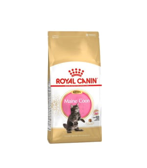 ROYAL CANIN CAT 2KG MAINECOON KITTEN Cat Dry Food ROYAL CANIN