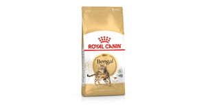 ROYAL CANIN CAT 400G BENGAL Cat Dry Food ROYAL CANIN