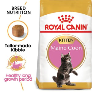 ROYAL CANIN CAT 4KG MAINECOON KITTEN Cat Dry Food ROYAL CANIN