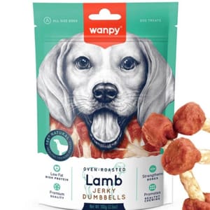 Wanpy Wanpy Lamb Jerky Dumbell100g 100g  正面圖