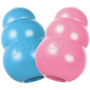 KONG KONG Puppy   正面圖