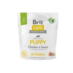 Brit Brit Care Dog Sustainable Puppy Chicken & Insect   正面圖