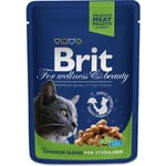 Brit Premium Kucing Dengan Hiris Ayam Untuk Steril 100g Cat Wet Food Brit Premium
