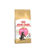 ROYAL CANIN CAT 2KG MAINECOON KITTEN Cat Dry Food ROYAL CANIN