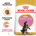 ROYAL CANIN CAT 4KG MAINECOON KITTEN Cat Dry Food ROYAL CANIN