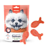Wanpy Wanpy Salmon Fish Shape Bites100g 100g  正面圖