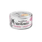 BACK2NATURE BACK2NATURE WELLNEZZ CHICKEN + CRANBERRY 95g 95g  正面圖