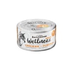 BACK2NATURE BACK2NATURE WELLNEZZ CHICKEN + PUMPKIN 95g 95g  正面圖