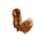 KONG KONG Refillables Squirrel   正面圖