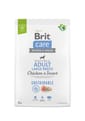 Brit Care Anjing Berkekalan Dewasa Baka Besar Ayam & Serangga Dog Dry Food Brit Care