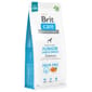 Brit Care Anjing Tanpa Bijirin Junior Baka Besar Salmon Dog Dry Food Brit Care