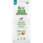 Brit Care Anjing Tanpa Bijirin Dewasa Baka Besar Salmon Dog Dry Food Brit Care
