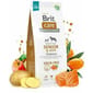 Brit Care Anjing Tanpa Bijirin Senior & Ringan Salmon Dog Dry Food Brit Care