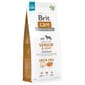 Brit Care Anjing Tanpa Bijirin Warga Emas & Ringan Ikan Salmon Dog Dry Food Brit Care