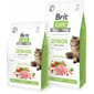 Brit Care Kucing Tanpa Bijirin Untuk Warga Emas Kawalan Berat 400g Cat Dry Food Brit Care