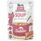 Brit Care Sup Kucing dengan Salmon 75g Cat Wet Food Brit Care