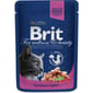 Brit Premium Kucing Dengan Salmon & Trout 100g Cat Wet Food Brit Premium