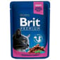 Brit Premium Kucing Dengan Ayam & Turki 100g Cat Wet Food Brit Premium