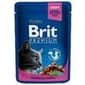 Brit Premium Kucing Dengan Ayam & Turki 100g Cat Wet Food Brit Premium