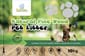 KW-019 KAWAN WOOD PELLET 10KG Cat litter KAWAN