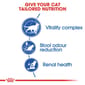 ROYAL CANIN CAT 1.5KG INDOOR 7+ Birds GOLDEN CUP