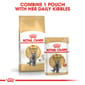 ROYAL CANIN CAT 10KG BRITISH SHORT HAIR Cat Dry Food ROYAL CANIN