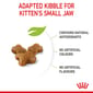 ROYAL CANIN CAT 10KG KITTEN36 Cat Dry Food ROYAL CANIN