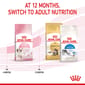 ROYAL CANIN CAT 10KG KITTEN36 Cat Dry Food ROYAL CANIN