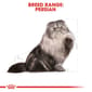 ROYAL CANIN CAT 10KG PERSIAN ADULT Cat Dry Food ROYAL CANIN