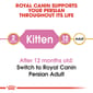 ROYAL CANIN CAT 10KG PERSIAN KITTEN Cat Dry Food ROYAL CANIN
