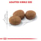 ROYAL CANIN CAT 10KG STERILISED Cat Dry Food ROYAL CANIN