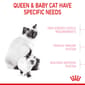 ROYAL CANIN CAT 2KG BABYCAT Cat Dry Food ROYAL CANIN