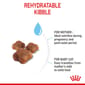 ROYAL CANIN CAT 2KG BABYCAT Cat Dry Food ROYAL CANIN