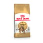ROYAL CANIN CAT 2KG BENGAL Cat Dry Food ROYAL CANIN