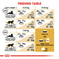 ROYAL CANIN CAT 2KG BENGAL Cat Dry Food ROYAL CANIN