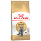 ROYAL CANIN CAT 2KG BRITISH SHORT HAIR Cat Dry Food ROYAL CANIN