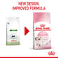 ROYAL CANIN CAT 2KG KITTEN36 Cat Dry Food ROYAL CANIN