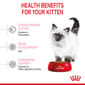 ROYAL CANIN CAT 2KG KITTEN36 Cat Dry Food ROYAL CANIN