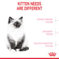 ROYAL CANIN CAT 2KG KITTEN36 Cat Dry Food ROYAL CANIN