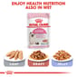 ROYAL CANIN CAT 2KG KITTEN36 Cat Dry Food ROYAL CANIN