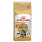 ROYAL CANIN CAT 2KG MAINECOON Cat Dry Food ROYAL CANIN