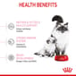 ROYAL CANIN CAT 400G BABYCAT Cat Dry Food ROYAL CANIN