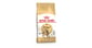 ROYAL CANIN CAT 400G BENGAL Cat Dry Food ROYAL CANIN
