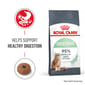 ROYAL CANIN CAT 400G DIGESTIVE CARE Cat Dry Food ROYAL CANIN