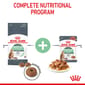 ROYAL CANIN CAT 400G DIGESTIVE CARE Cat Dry Food ROYAL CANIN