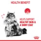 ROYAL CANIN CAT 400G HAIR&SKIN Cat Dry Food ROYAL CANIN