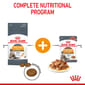 ROYAL CANIN CAT 400G HAIR&SKIN Cat Dry Food ROYAL CANIN