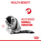 ROYAL CANIN CAT 400G HAIRBALL Cat Dry Food ROYAL CANIN